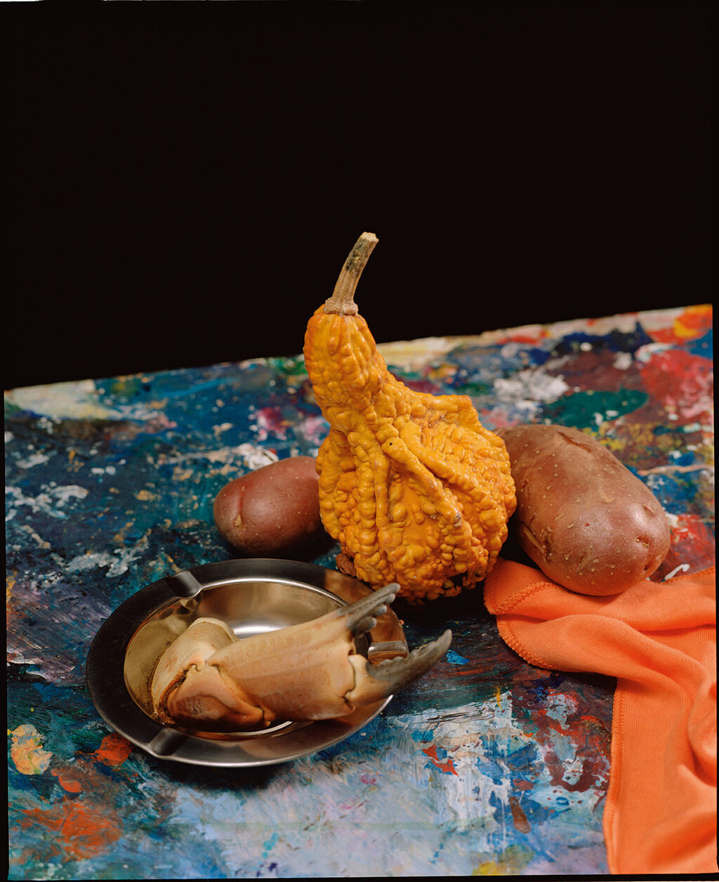 Buffalo Zine Copy(right) - © Ryan Chappell