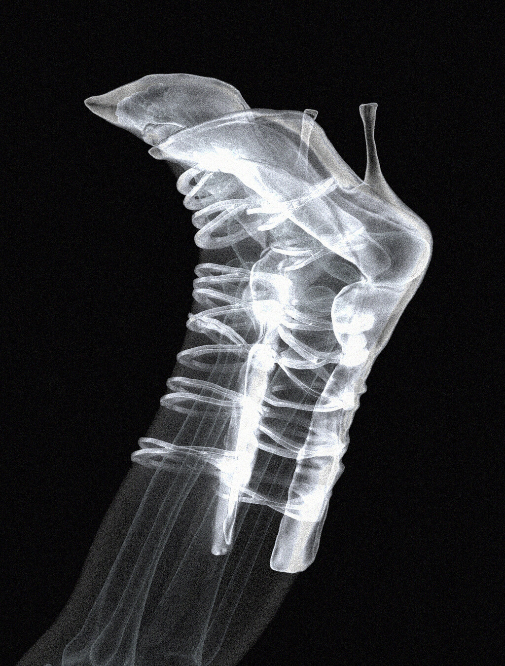 Carcy Magazine - © Ryan Chappell