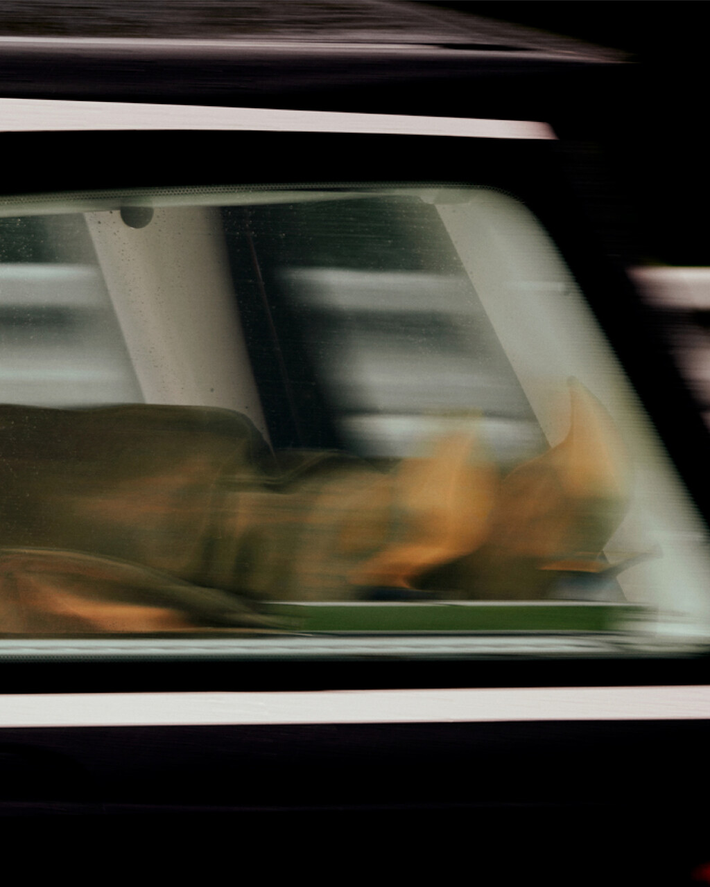 Dazed - © Ryan Chappell