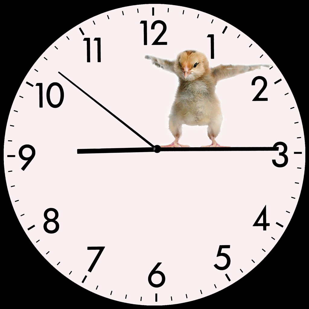 DSM Clocks - © Ryan Chappell