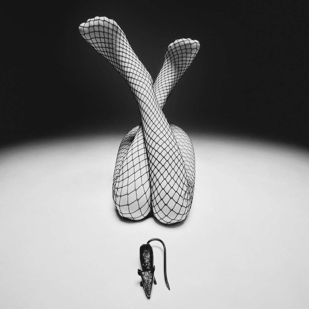 SYSTEM beauty - © Ryan Chappell